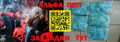 твердый Кингисепп