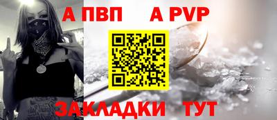 твердый Кингисепп