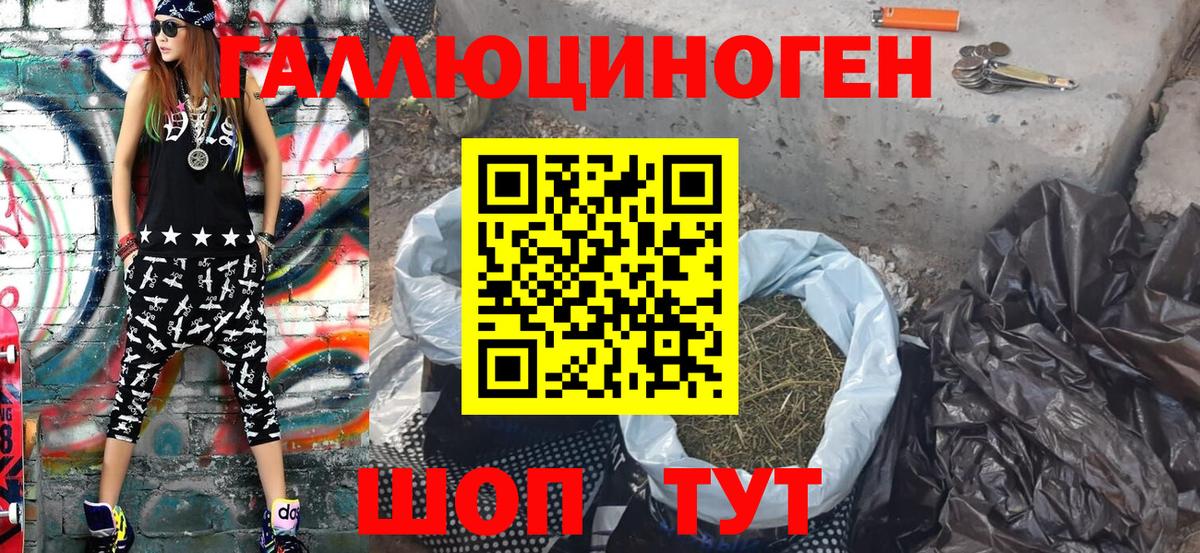 Кострома  Галлюциногенные грибы Psilocybine cubensis  Вход с VPN 